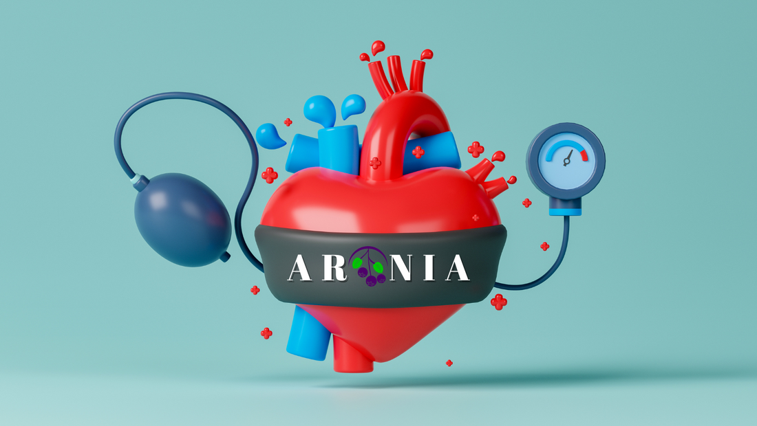 Beneficiile consumul de aronia pentru inima: Scaderea colesterolului si a tensiunii