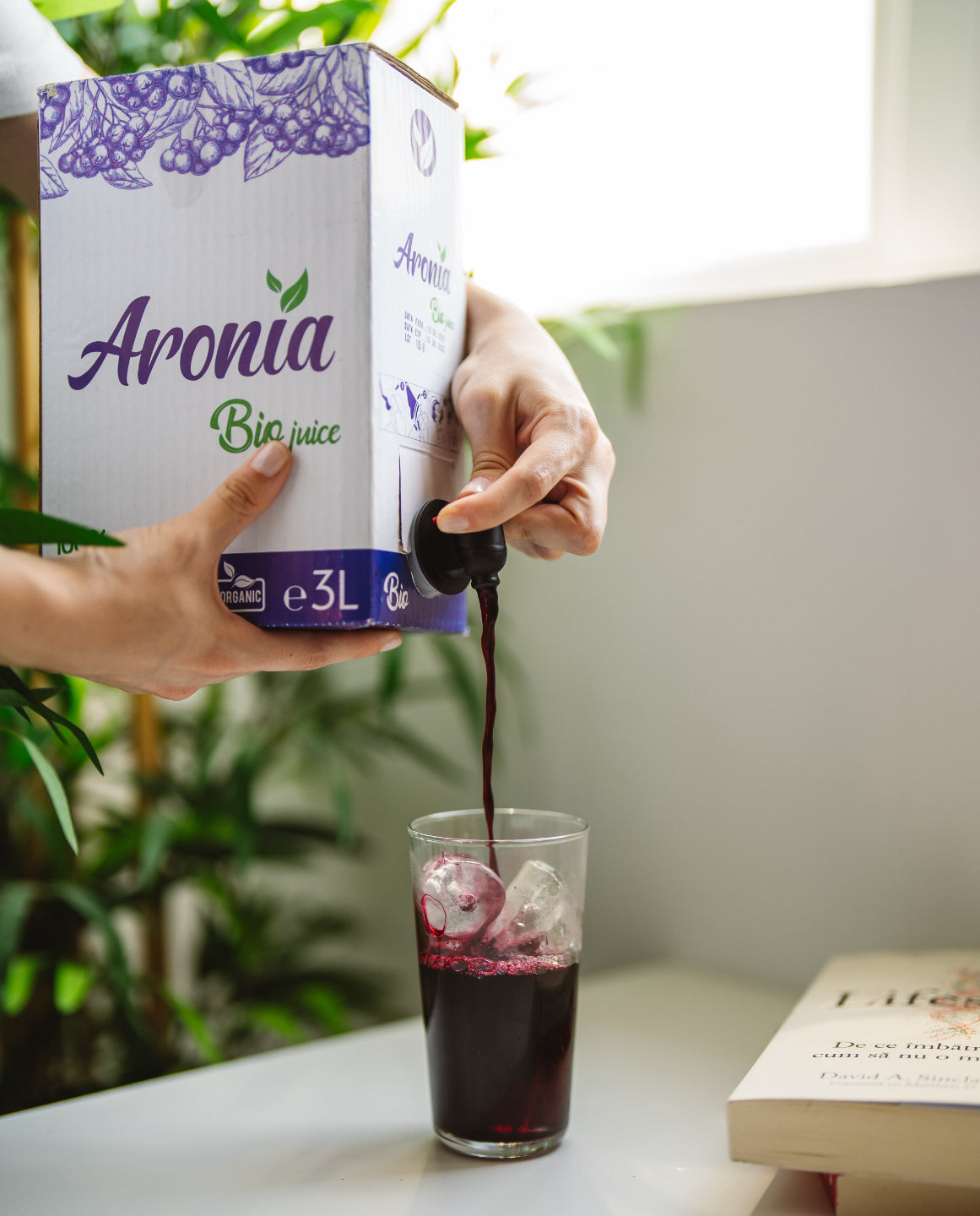 Suc de Aronia Ecologic – 3 cutii 9L