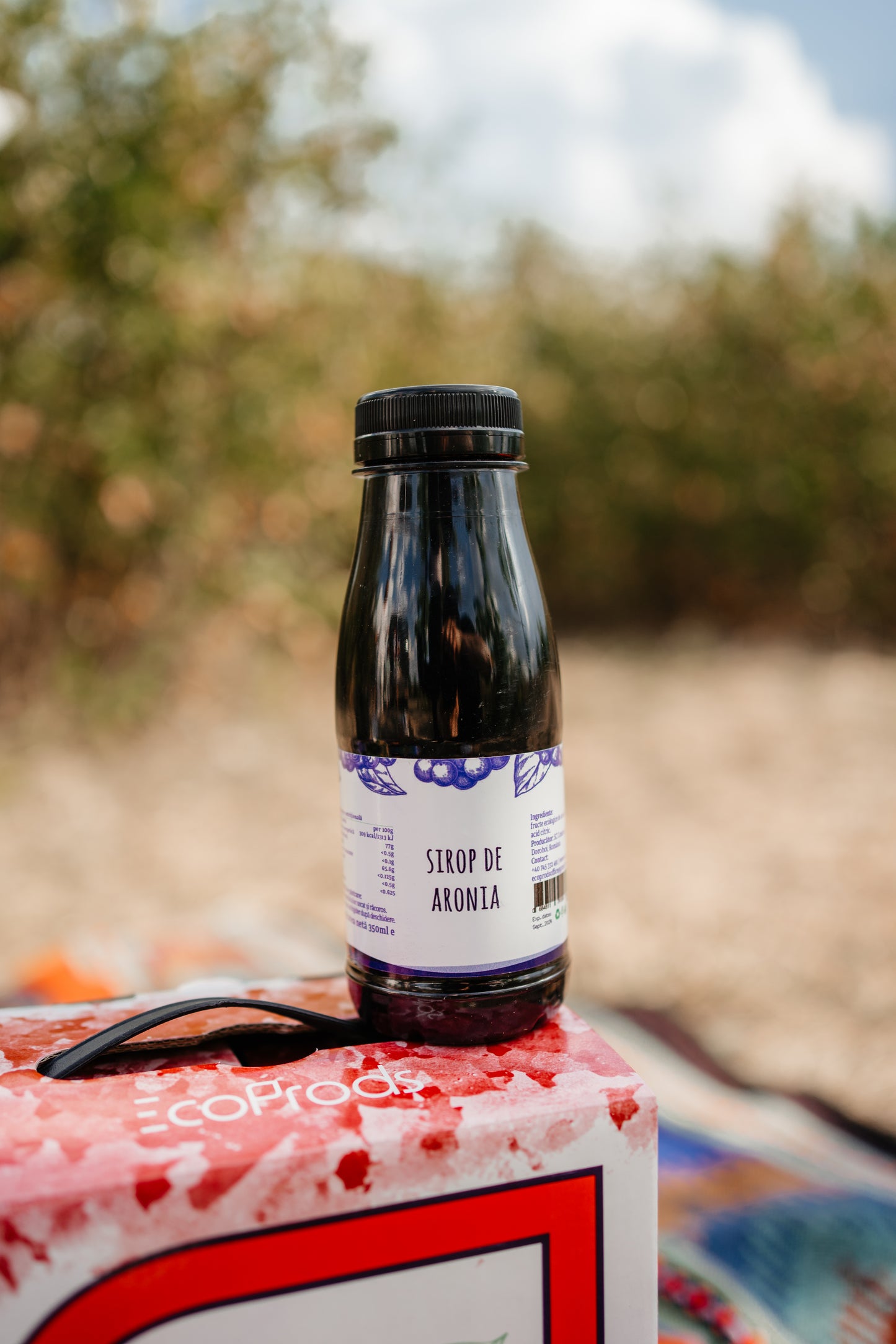 Sirop de aronia 350 ml